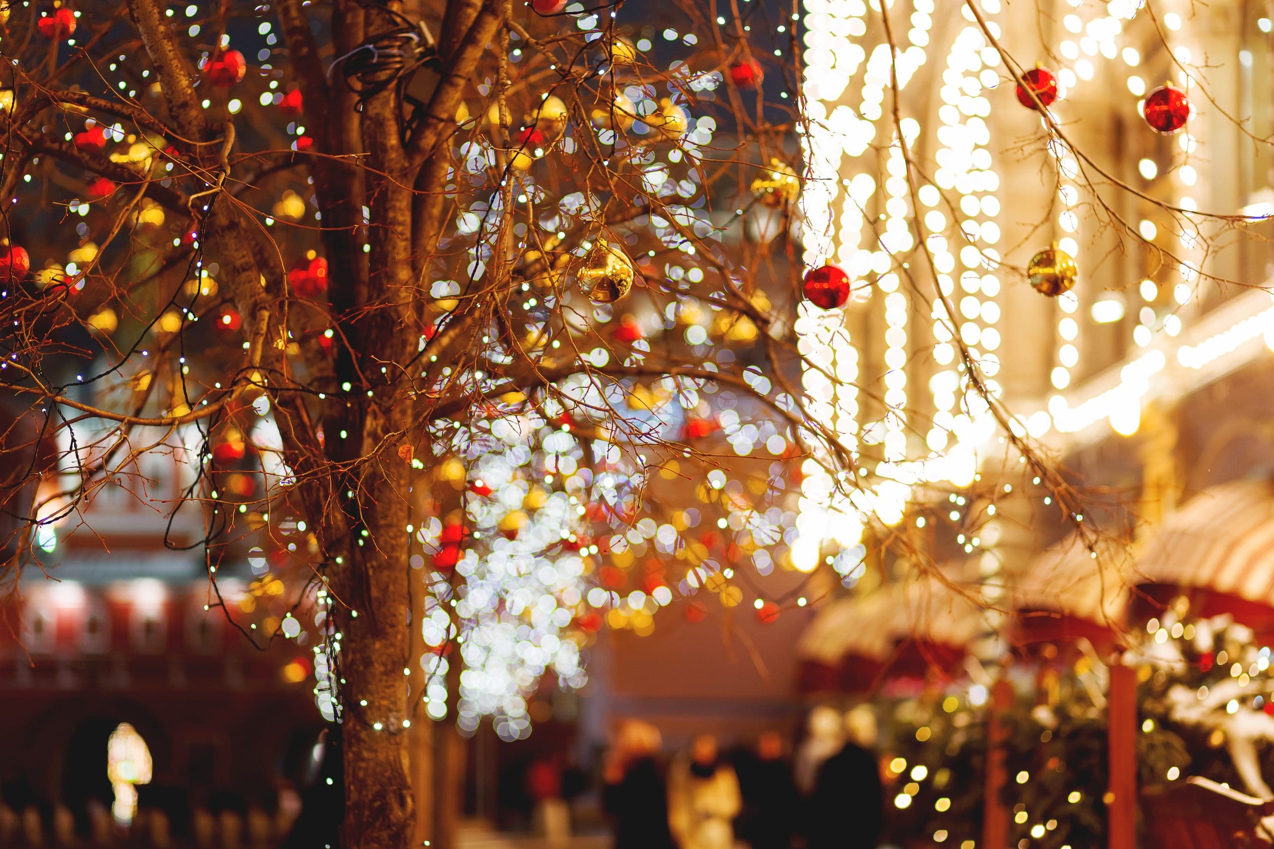 Bare tree branches strung with twinkling string lights and red and gold ornaments, illuminated at night with warmly lit buildings and blurred figures walking in the background.