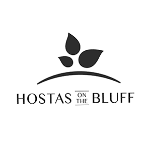 Hostas on the Bluff
